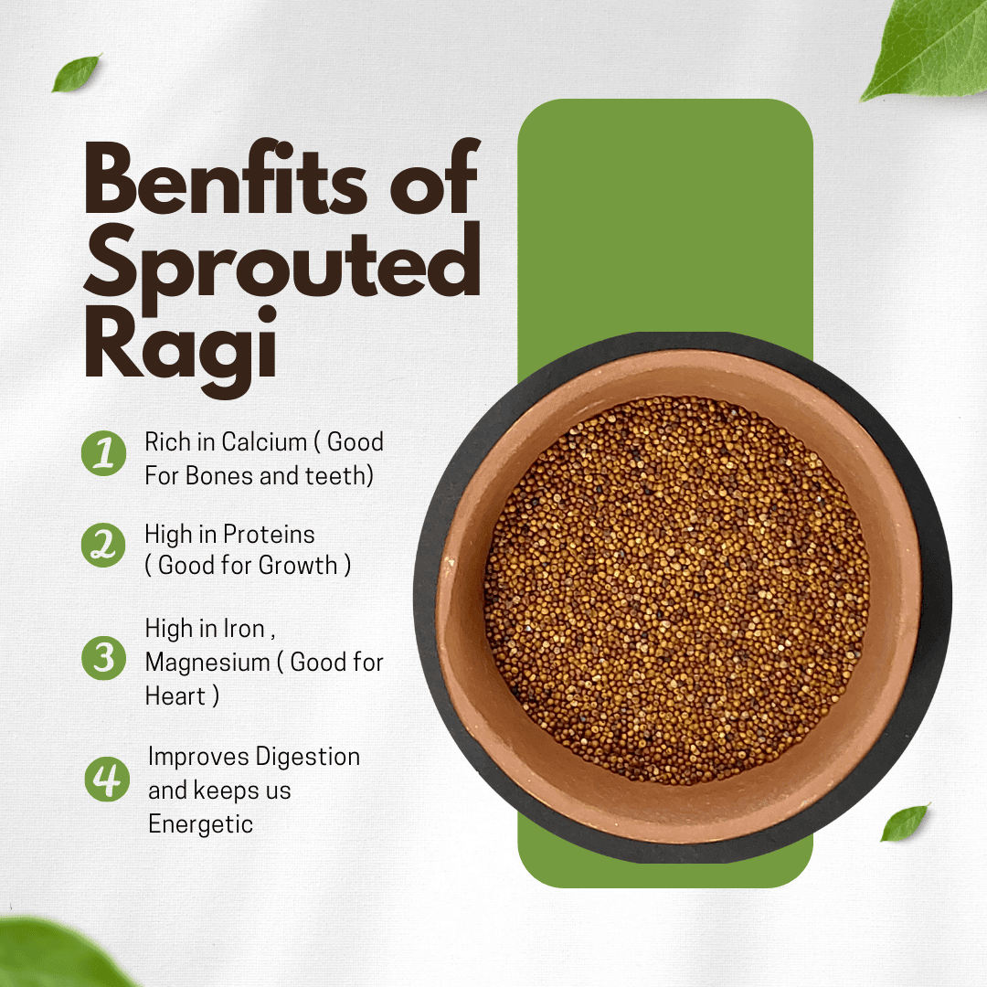 Sprouted Ragi Flour Finger Millet 500 gram Sprouteez Sprouteez Store